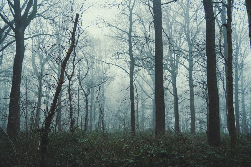 Hooggoed, Maria aalter, Belgium