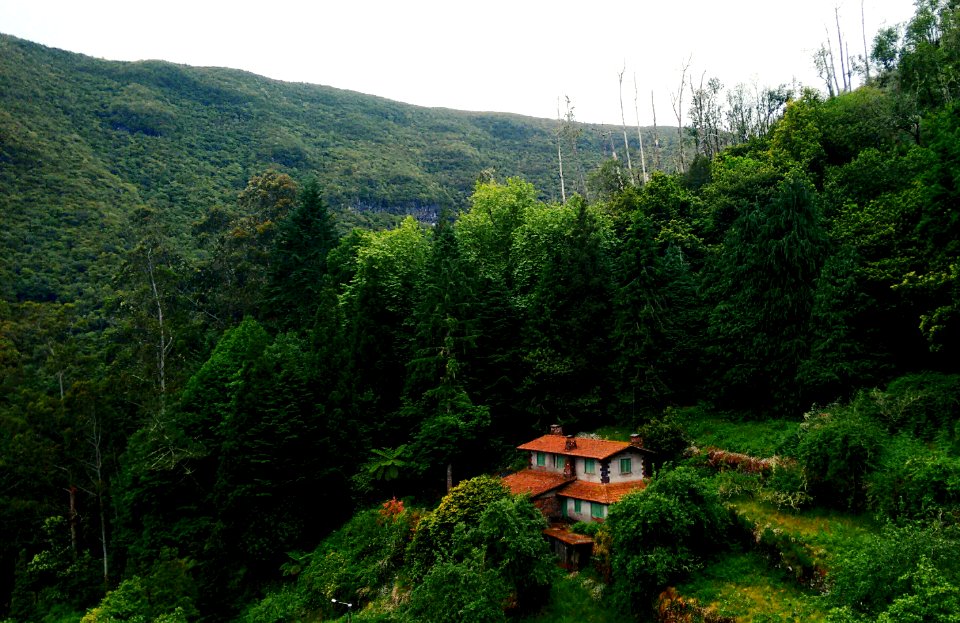 brown roof house near tall trees at daytime