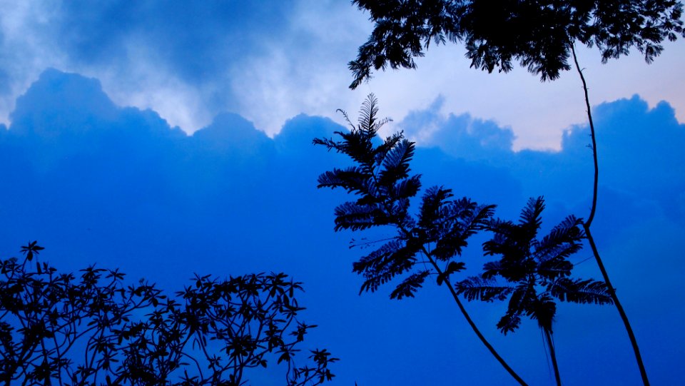 Costa rica, Playa santa teresa, Blues photo