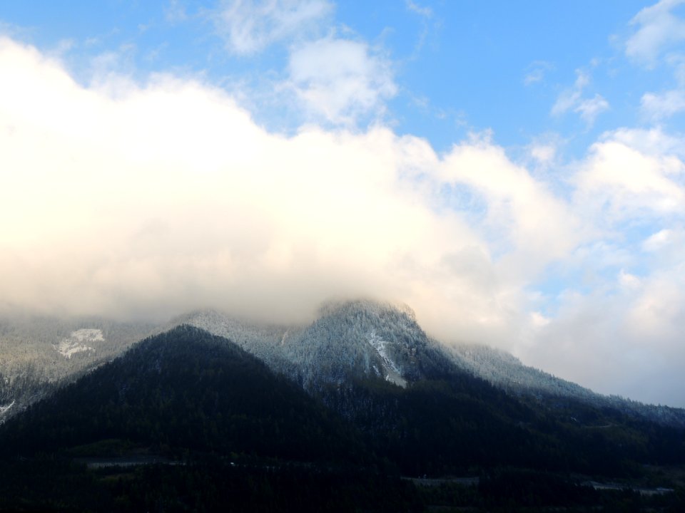 Modane, France, Forest