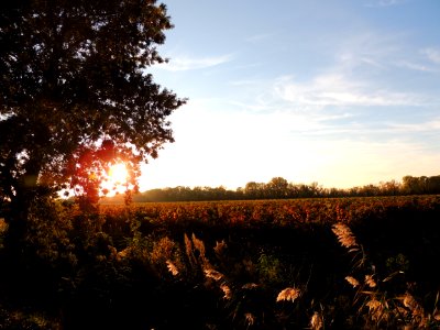 Vaucluse, France, Sky