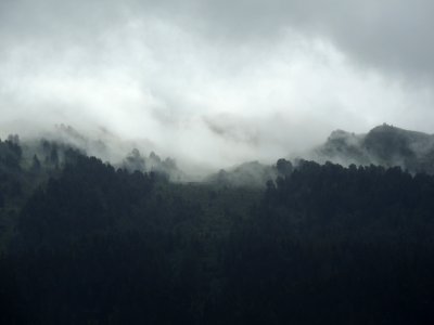 silhouette of mountain covered by fogs photo