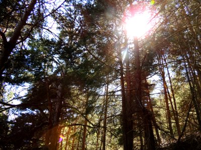 Savoie, France, Sun