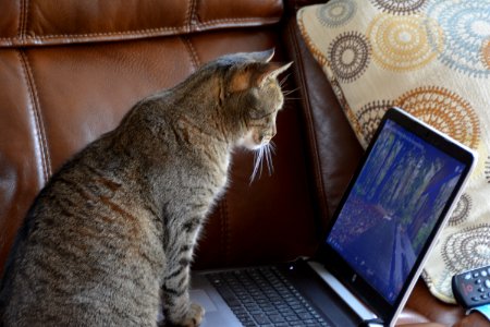 Whitney, Canada, Computer