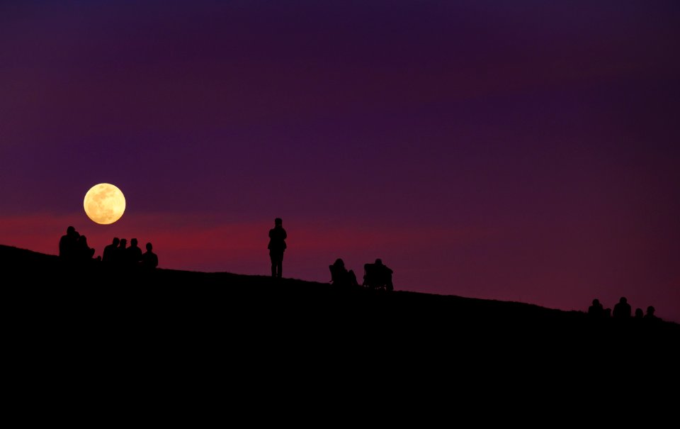 silhouette of group of people under purple night sky