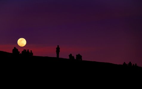 silhouette of group of people under purple night sky photo