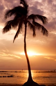 Poipu beach, Koloa, United states