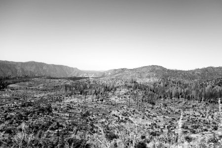 Yosemite valley, United states, Black white photo