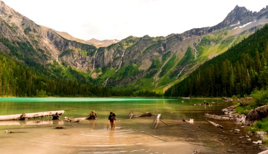 Glacier national park, United states, Floating logs