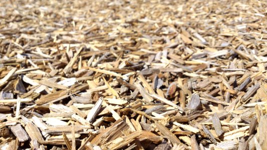 Brushwood, Wood