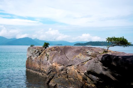 Angra dos reis, Brazil, Leaf