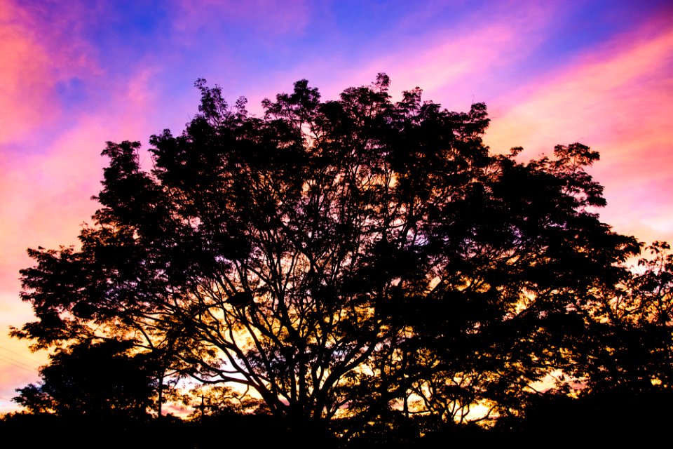 Brazil, Bauru, Nature