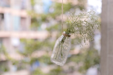 shallow focus photography of green leafed plant in bottle photo