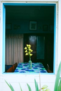 Flower, Window