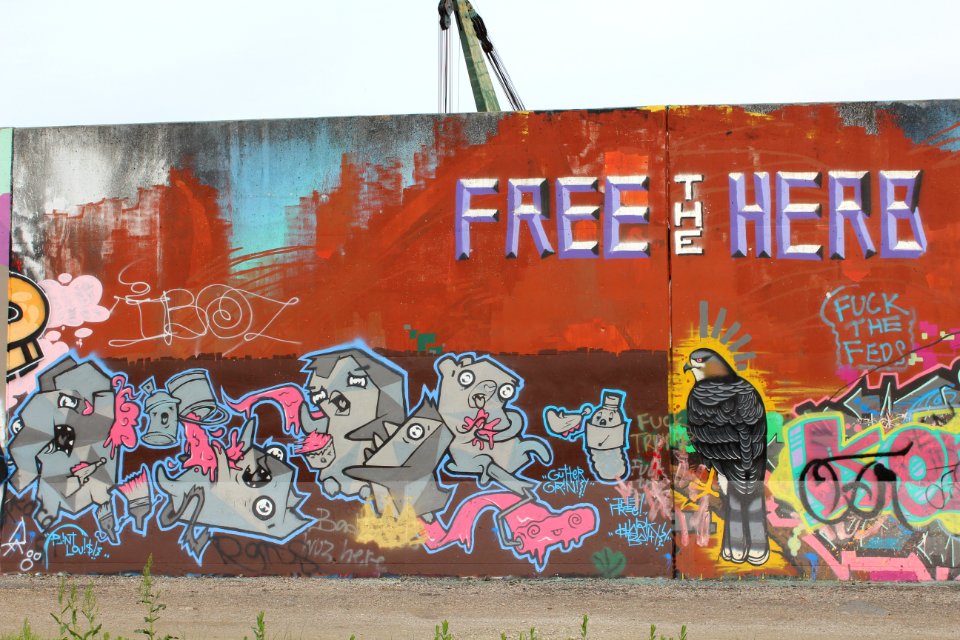 St. louis, United states, Free the herb