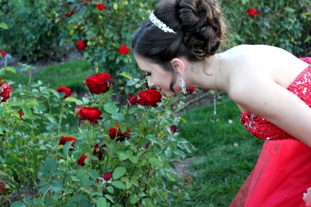 Alton, United states, Roses