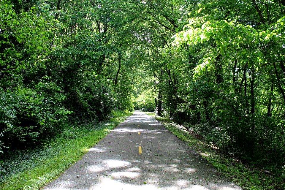 St louis, United states, Trail