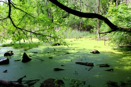 Waste, Lake