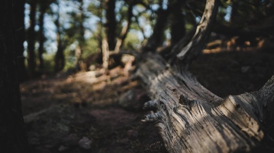 Mount sanitas trail, Boulder, United states