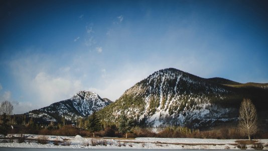 Colorado, Snowy, Trees