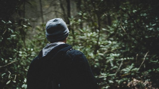 person in black hoodie and wearing gray beanie in forest photo