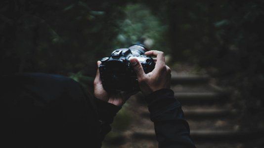 person holding DSLR camera photo