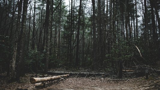 South mountain park, Connelly springs, United states