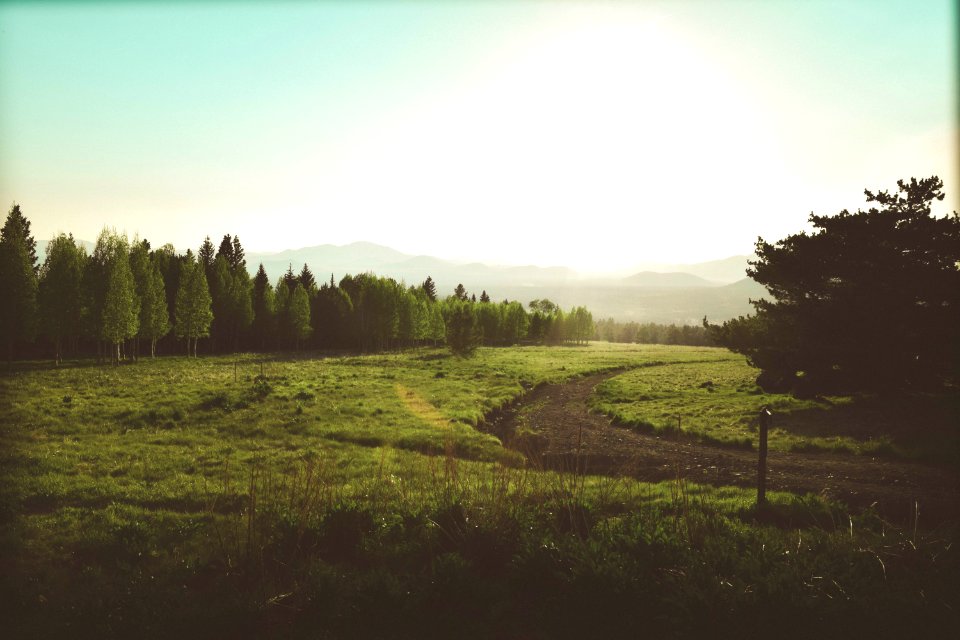 Flagstaff, United states, Scape