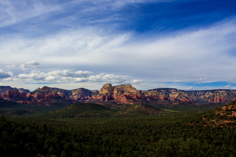 landscape photography of trees and mountains