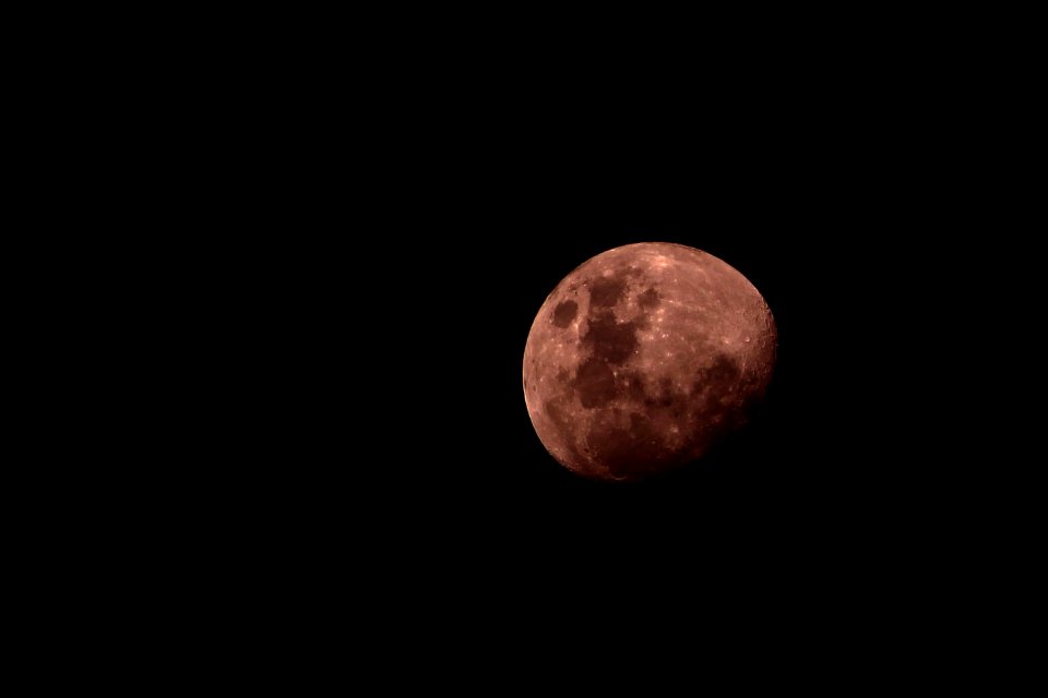 gray moon