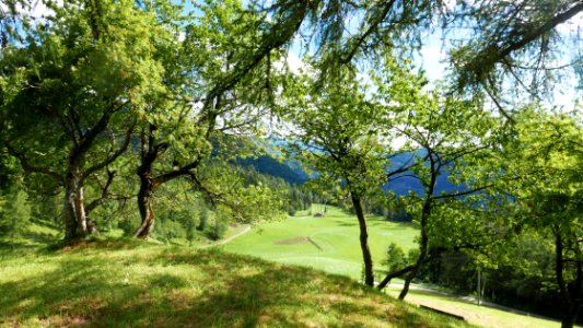 Redagno di sopra, Italy, Natura photo