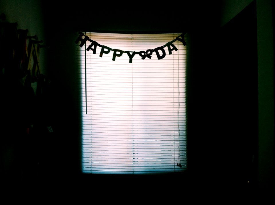 white window blinds