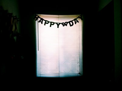 white window blinds