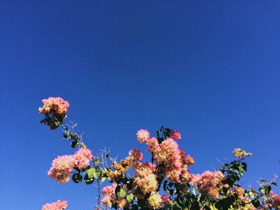 Mexicali, Mexico