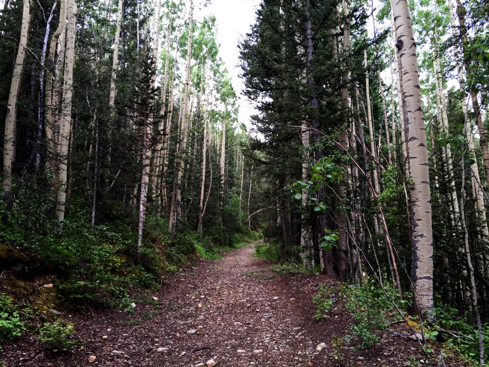 Ophir, United states, Path