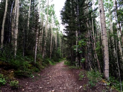 Ophir, United states, Path