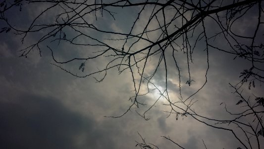 New delhi, India, Rays