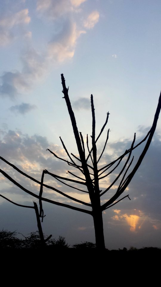 New delhi, India, Colour