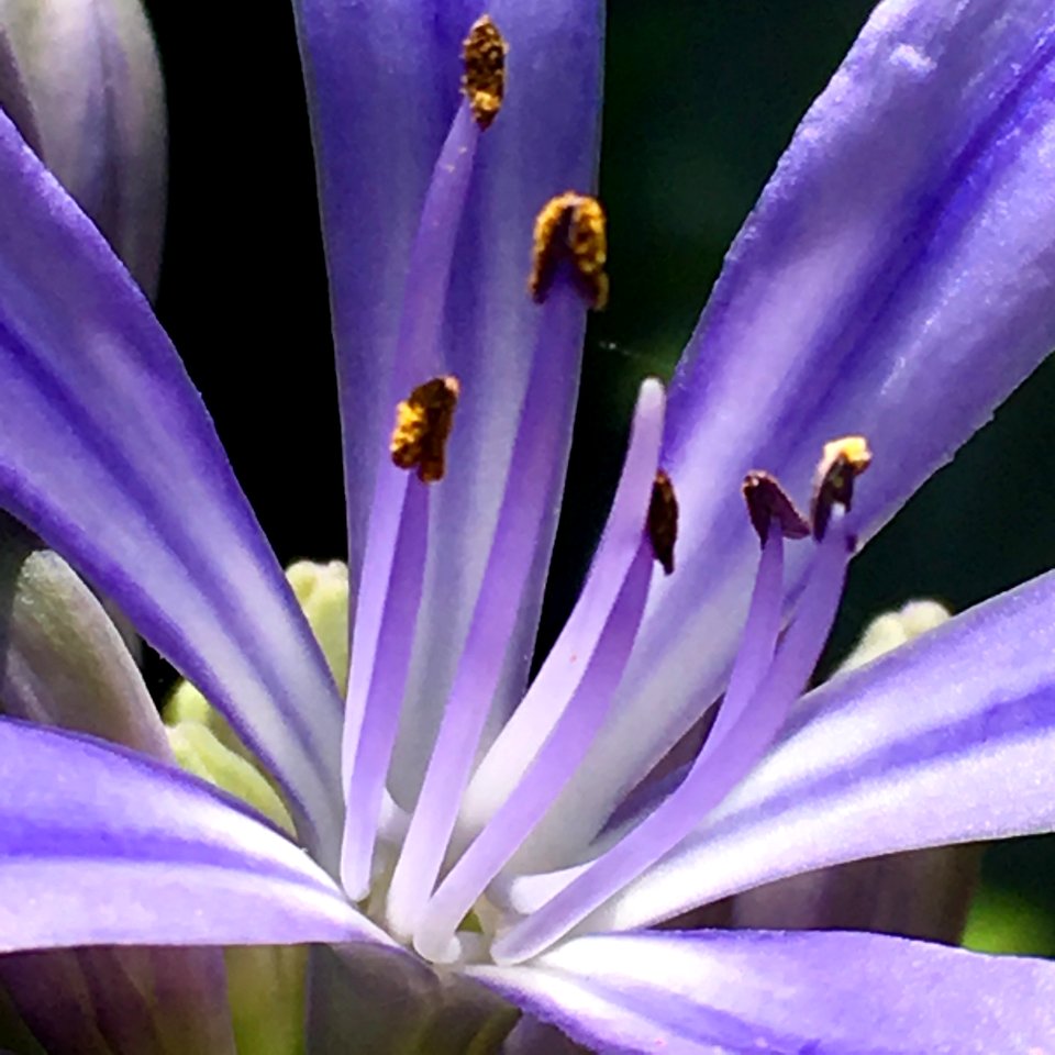 Sydney, Australia, Nature
