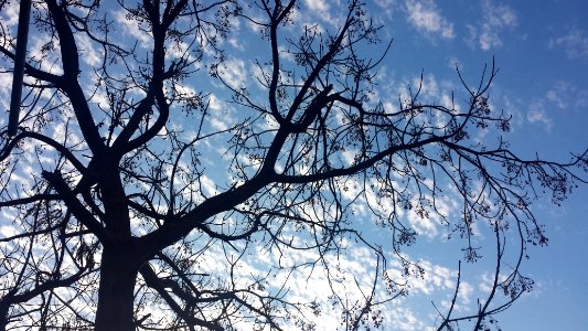 New delhi, India, Branches