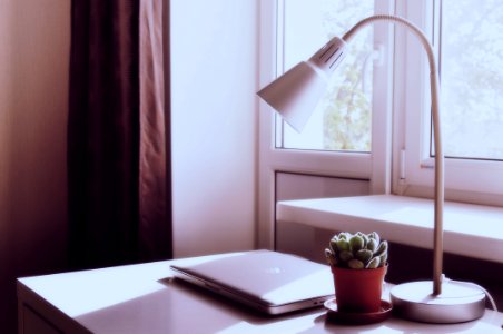 closed silver MacBook on table near plant and desk lamp photo
