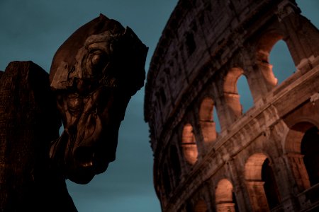 brown wooden horse head sculpture beside Colosseum
