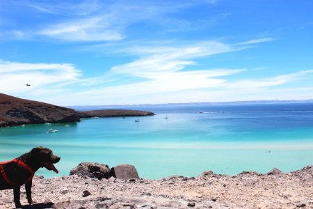 Bal, La paz, Mexico