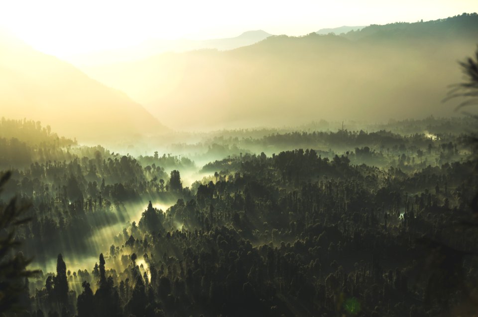 sunlight across trees and mountains