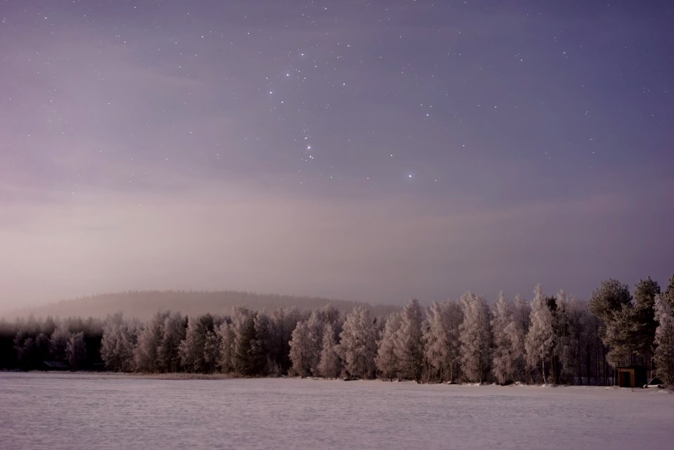 snow covered field with tress during night time