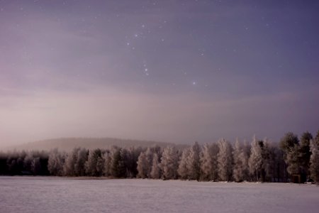 snow covered field with tress during night time