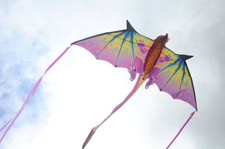 Austin, United states, Dragon kite