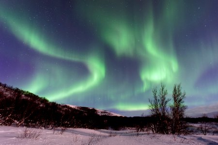 photo of green aurora borealis photo