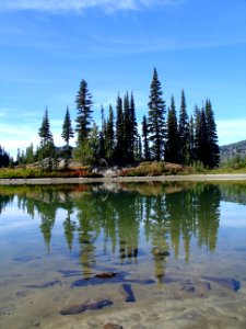 Mount rainier national park, United states, Seattle