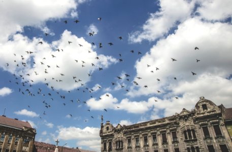 Timi oara, Romania, Clouds